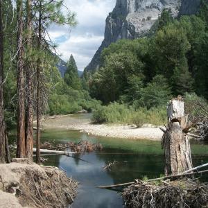 Survival & Camping Supplies