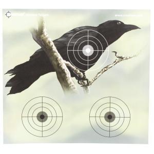 Crosman, Varmit Full Color Paper Target, 9.75"X9", PDQ, 20 Pack